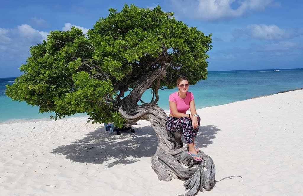 Fofoti tree on Eagle Beach Aruba