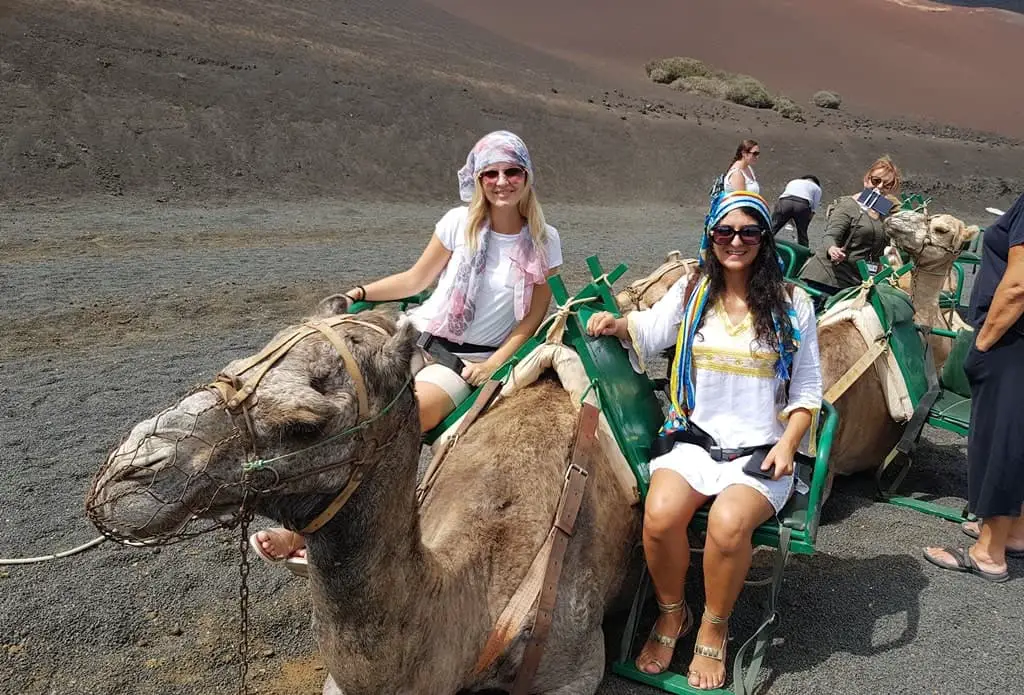 Camel Ride on Fire Mountain, Lanzarote, Canary Islands