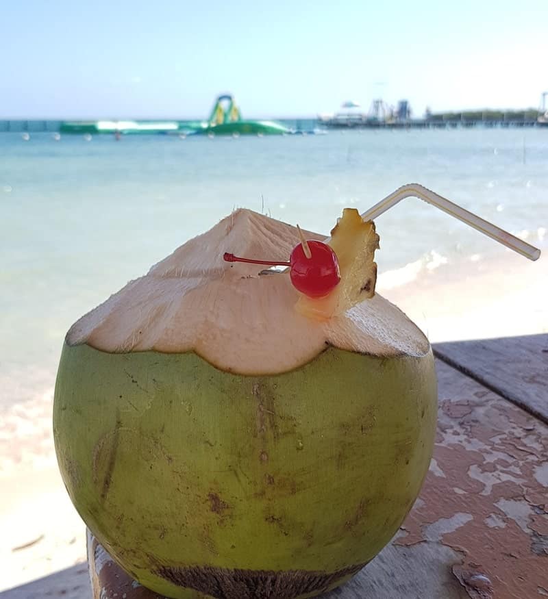 Coconut on Starfish island, Belize