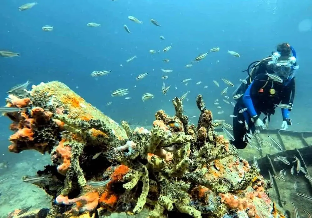 Bonaire National Marine Park scuba diving