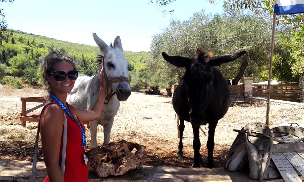 Donkeys in Zakynthos