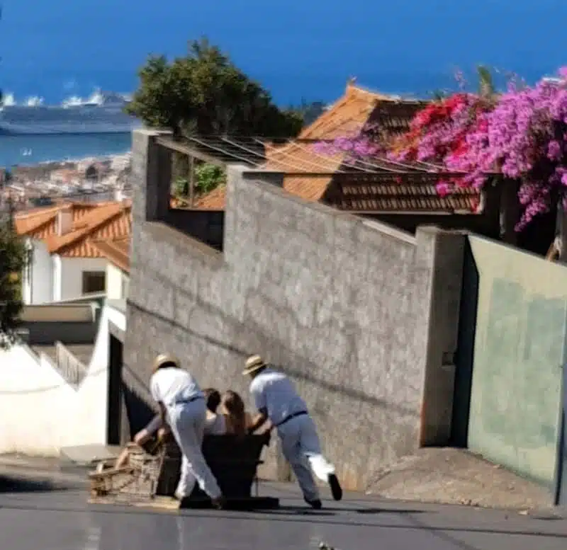 Toboggan ride, Madeira