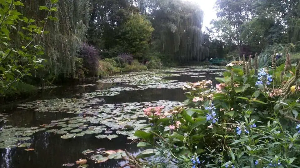 Water garden in Giverny.