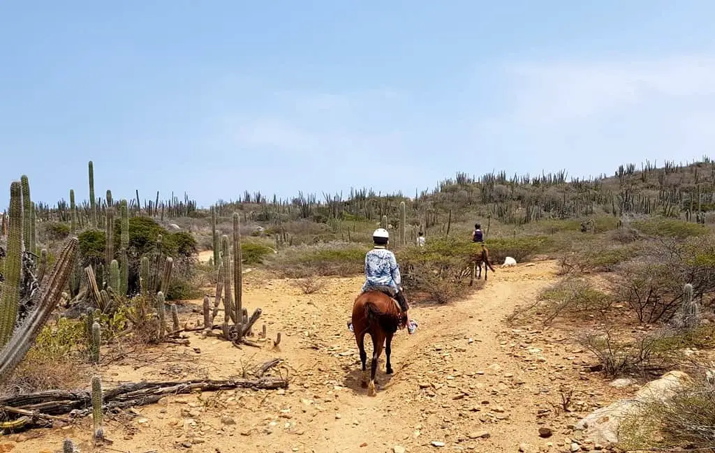 Aruba Horseback Riding through the Aruban countryside