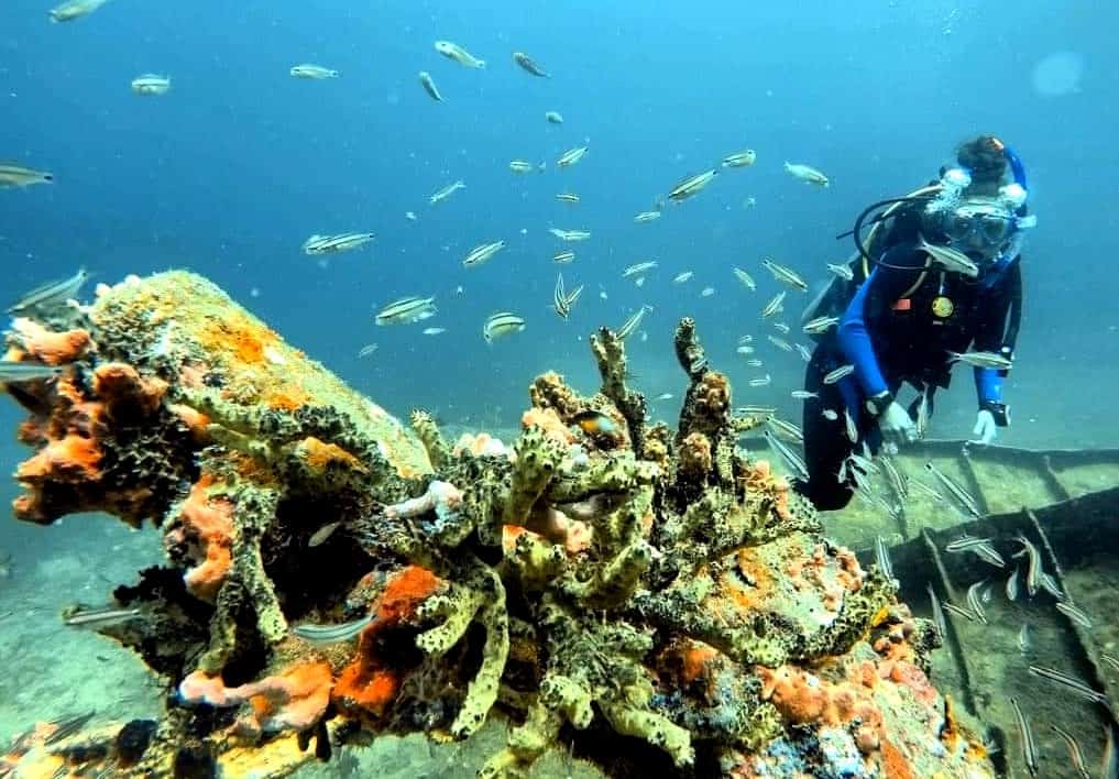 Bonaire Marine Park scuba dive