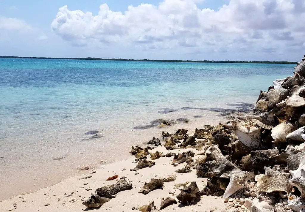 Conch piles at Lac Cai beach in Bonaire