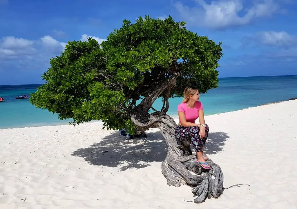 Fofoti tree at Eagle beach is the most photographed tree on the island