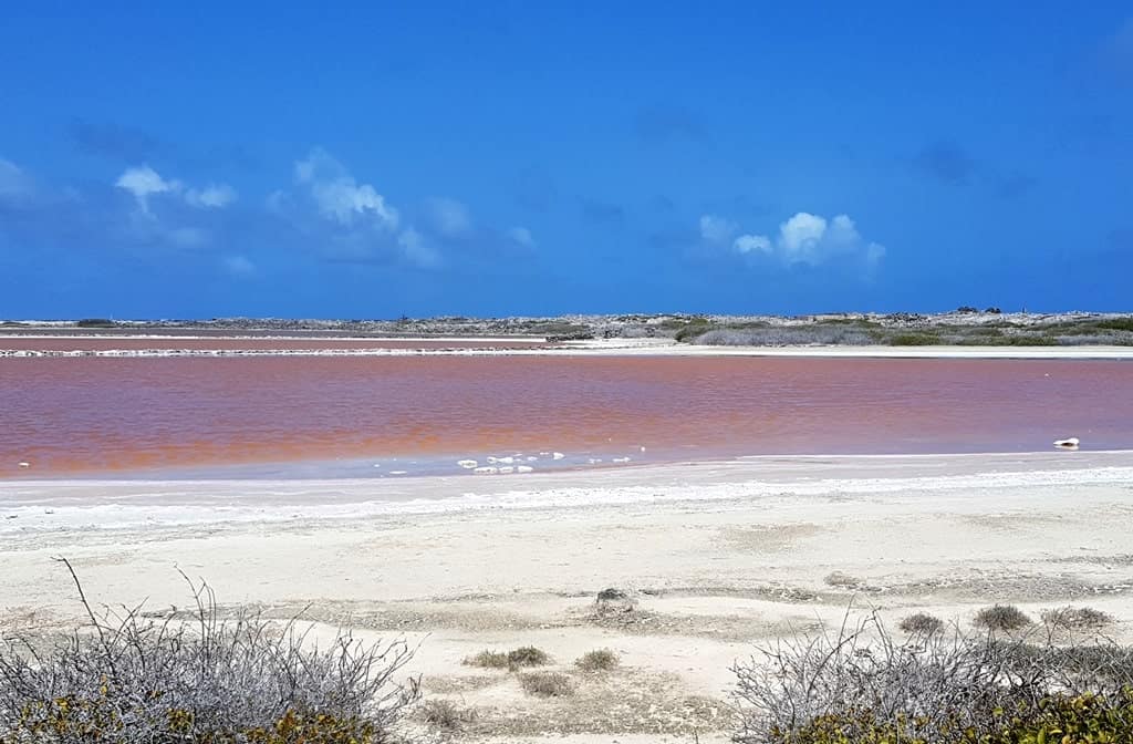 Salt flats in Bonaire