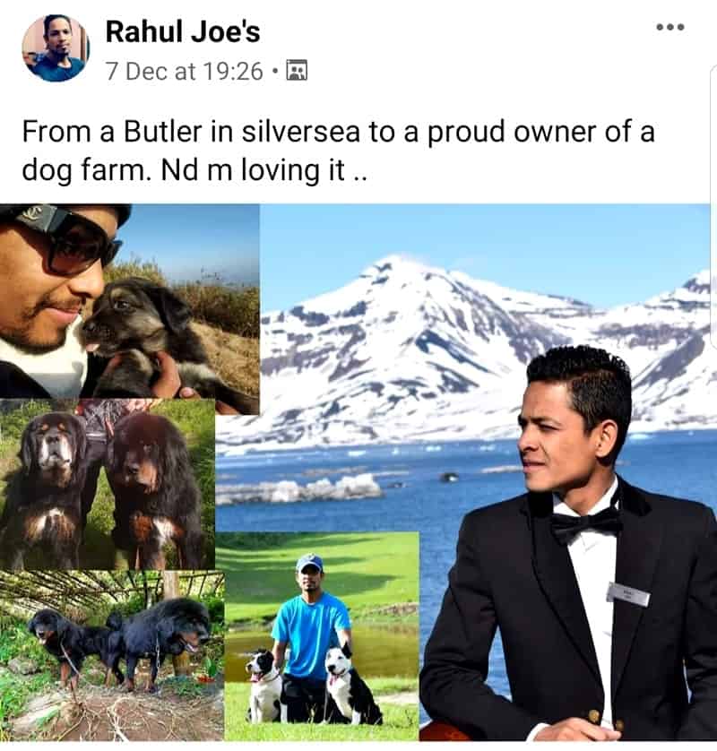 Rahul Joe's