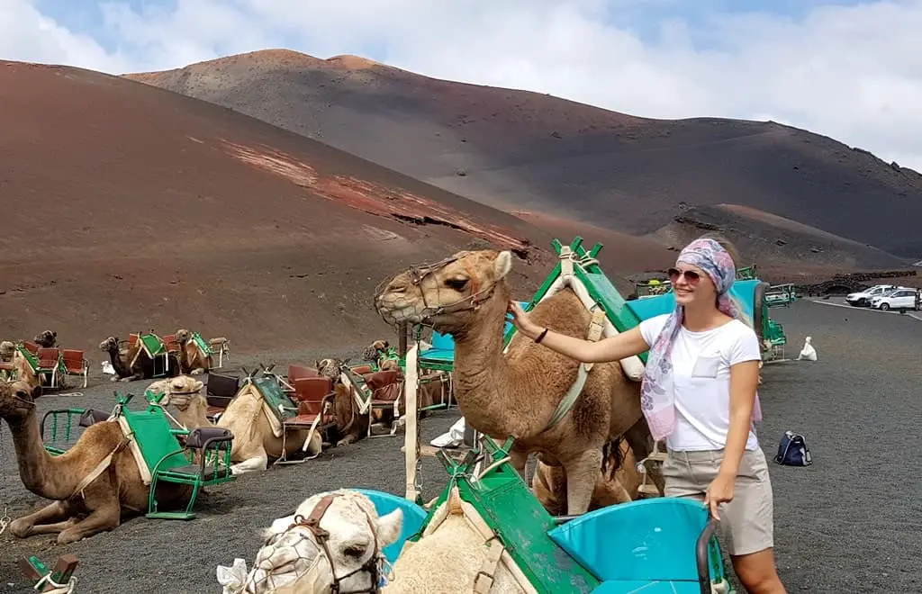 Timanfaya National Park camel ride