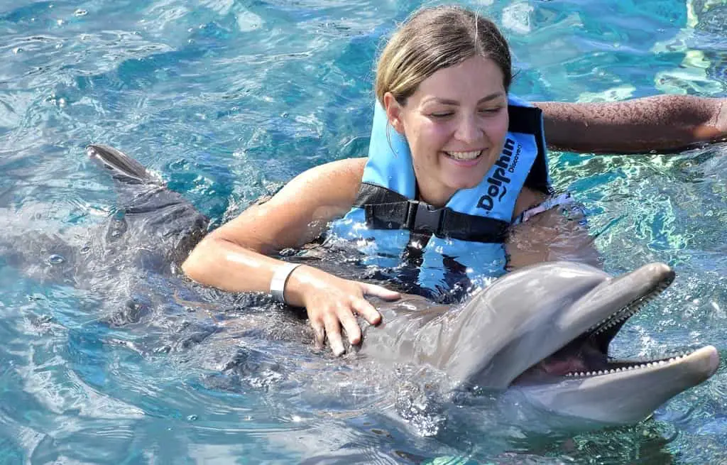Grand Cayman Dolphin encounter