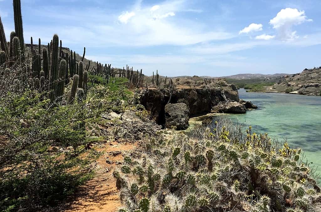 North coast of Curacao