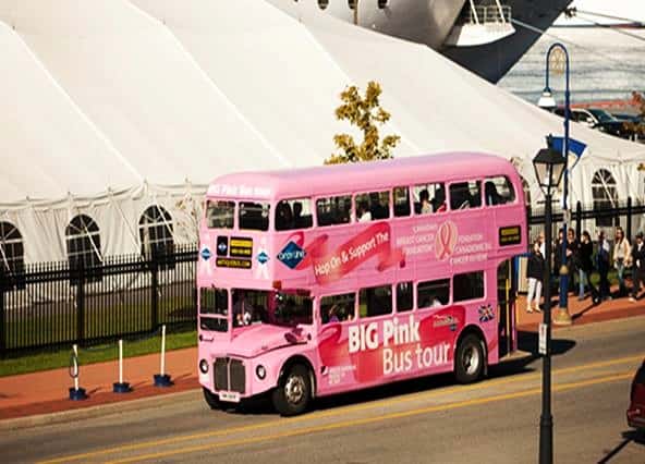 Halifax Big Pink Hop on Hop off bus
