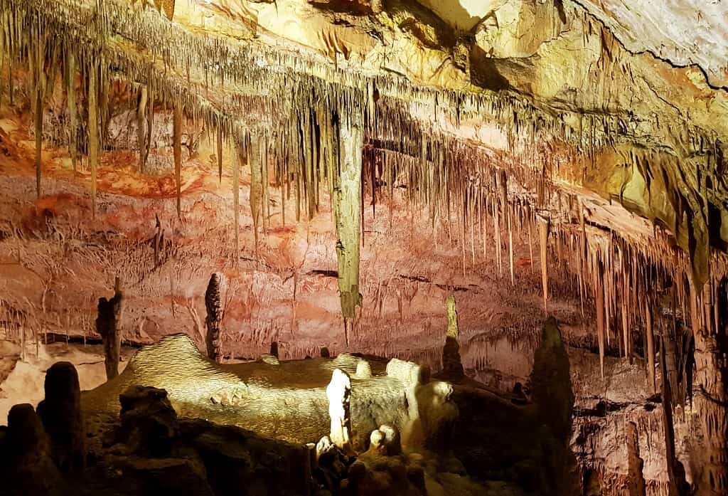 Caves of Drach - Palma de Mallorca