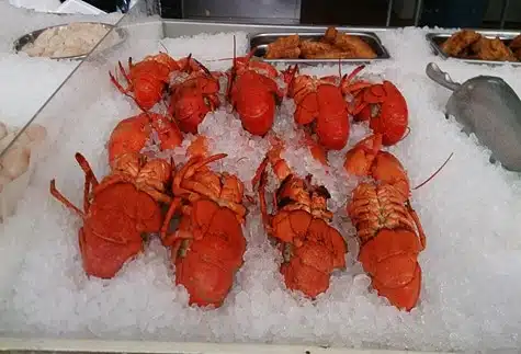 Lobsters at the Halifax market