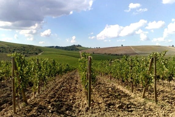 Tuscan countryside and vineyards