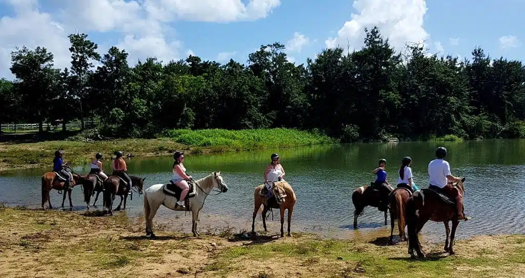 Campo Rico horseback riding, San Juan