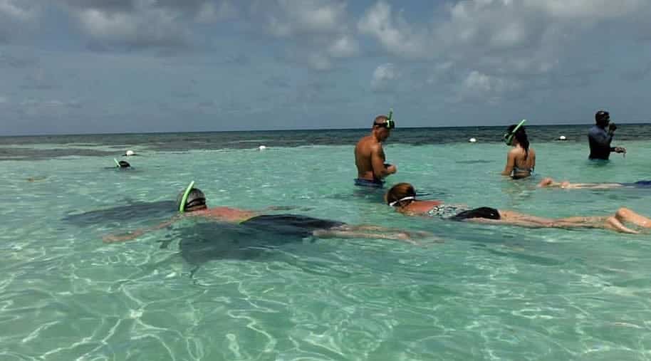 Stingray City Antigua - Snorkel and swimming with stingrays