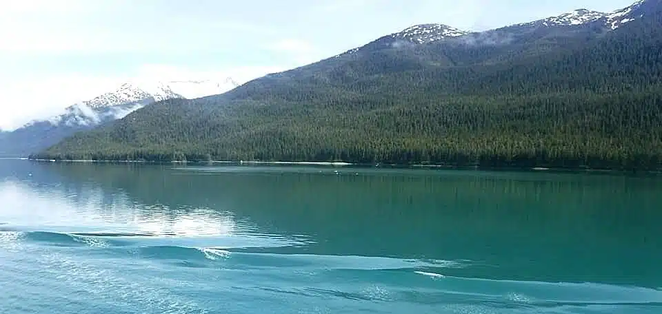 Kayak adventure in the port of Juneau, Alaska