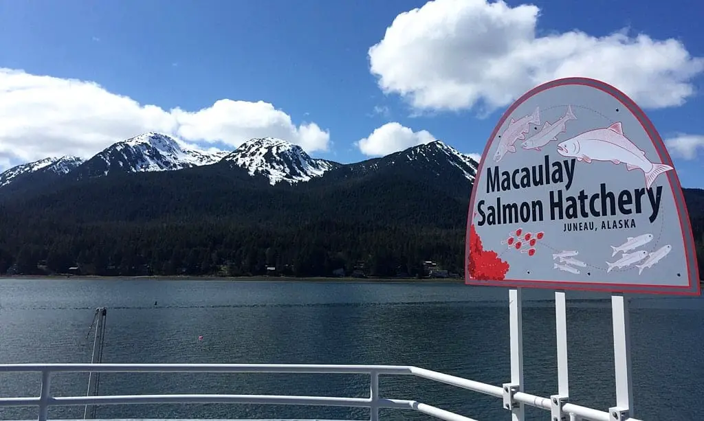 Macaulay Salmon Hatchery in Juneau, Alaska