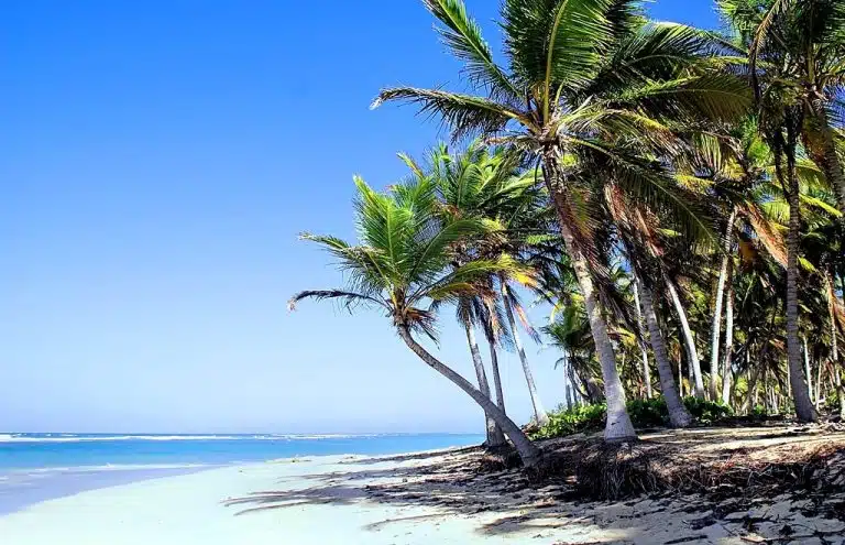 Punta Cana beach - Dominican Republic