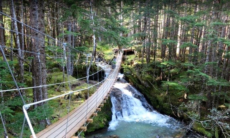 Skagway Grizzly Falls Zipline - Suspension bridge