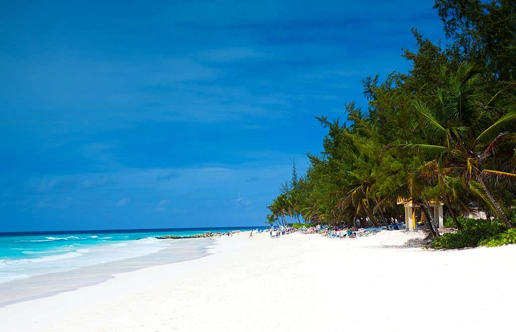 Barbados beach - Barbados island