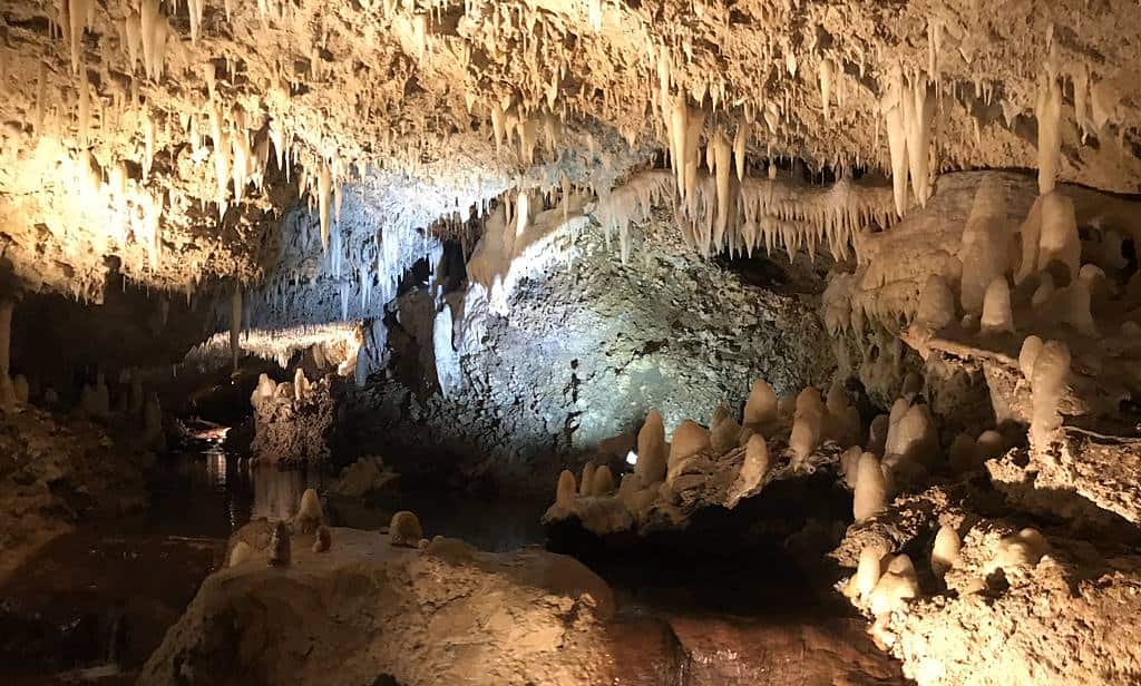 Harissons Cave Barbados