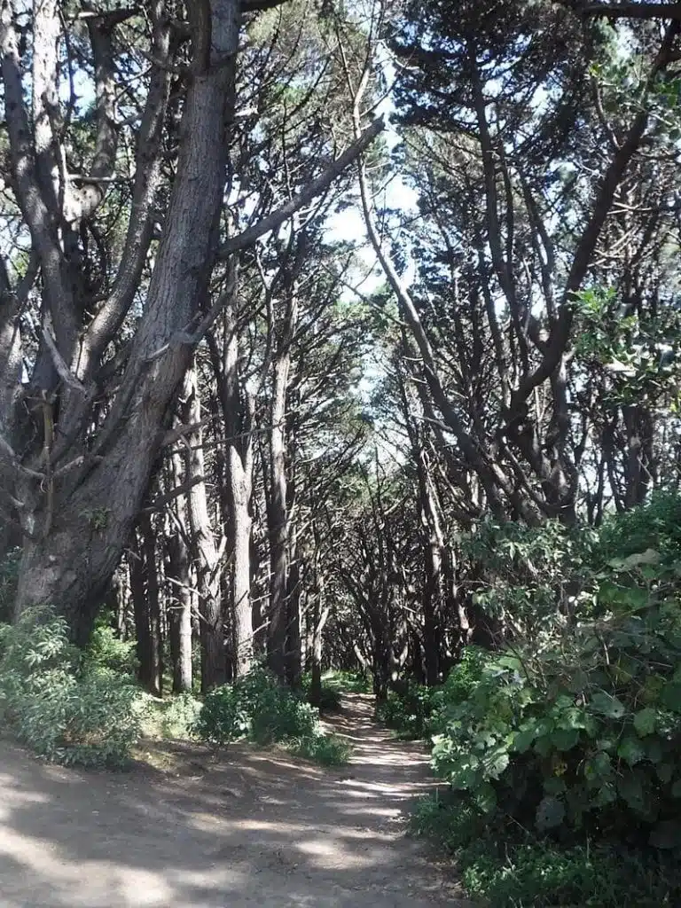 Hobbit's Hideaway - location of Get off the road scene (Lord of the Rings)