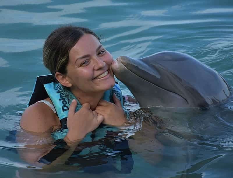Jamaica dolphin encounter