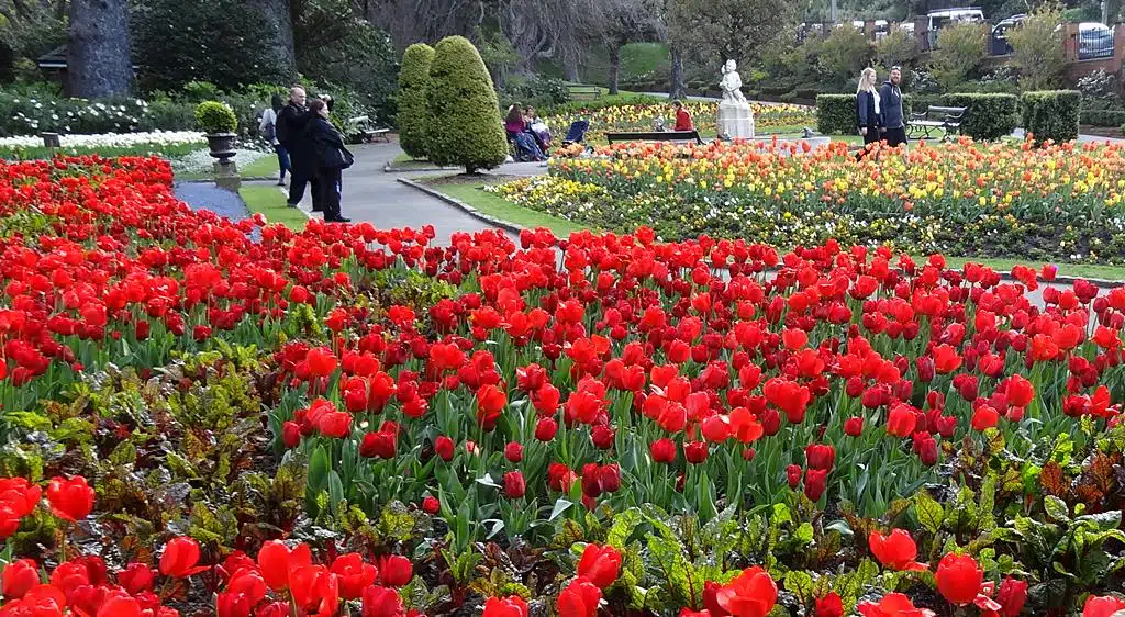 Wellington Botanical Garden