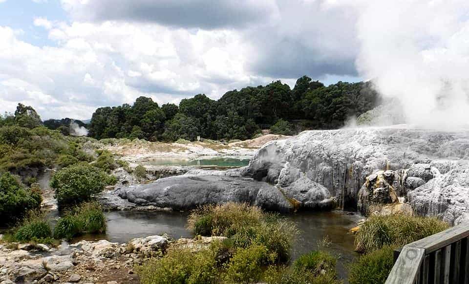 Whakarewarewa geothermal valley geysers