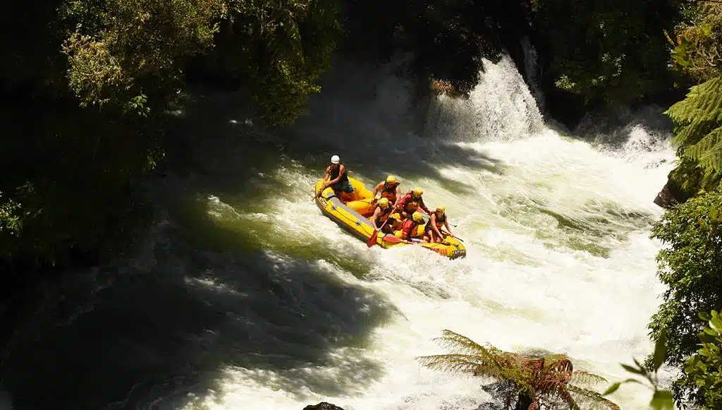 White Water Rafting from Tauranga cruise port