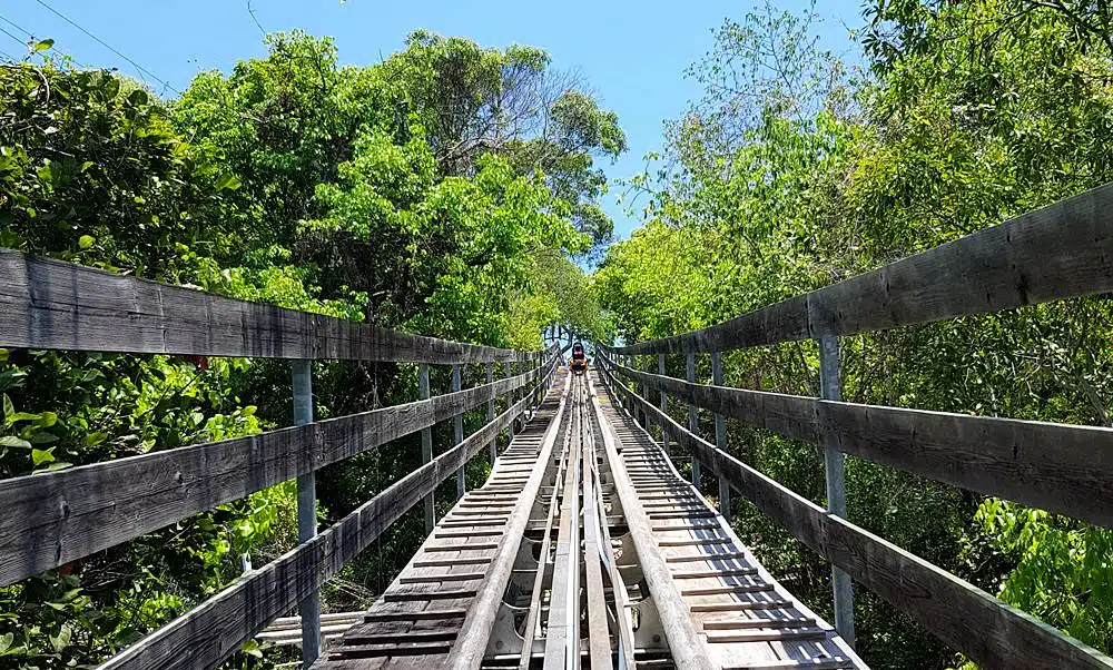 Dragon's Tail Coaster - Labadee Coaster