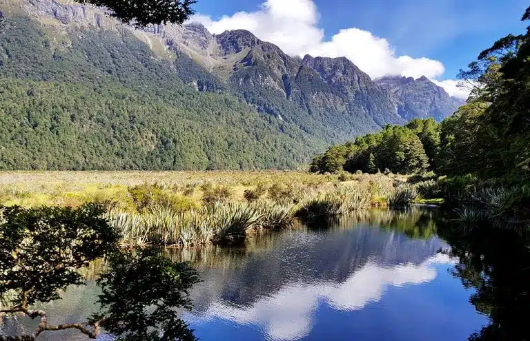 Milford Sound New Zealand