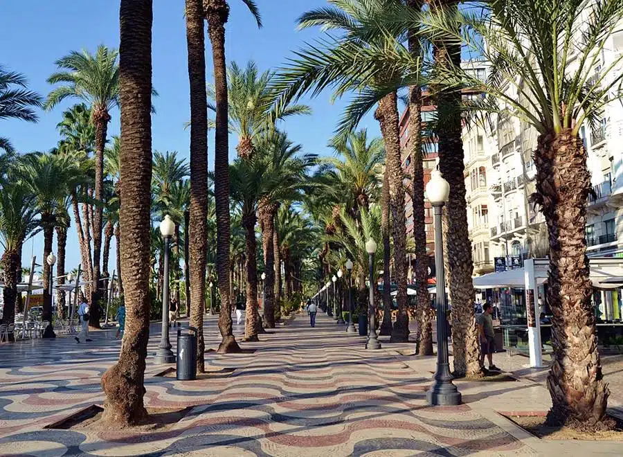 Passeig Esplanada d'Espanya Alicante, Spain