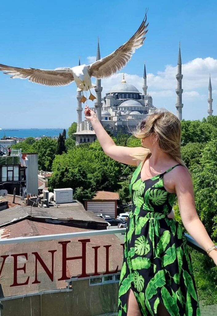 Seven Hills Restaurant Istanbul - seagulls feeding