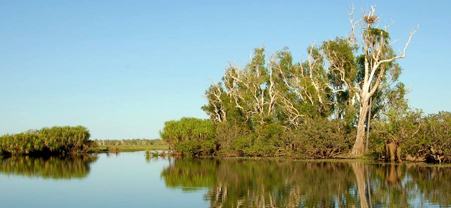Yellow Water Kakadu National Park