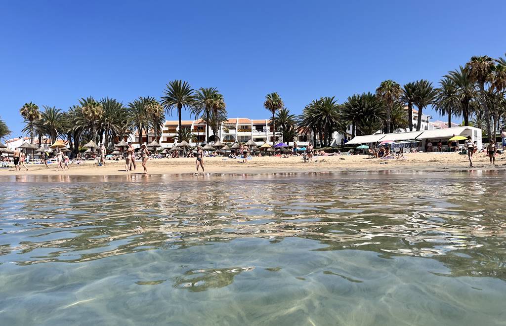 Playa del Camison in Playa de las Americas