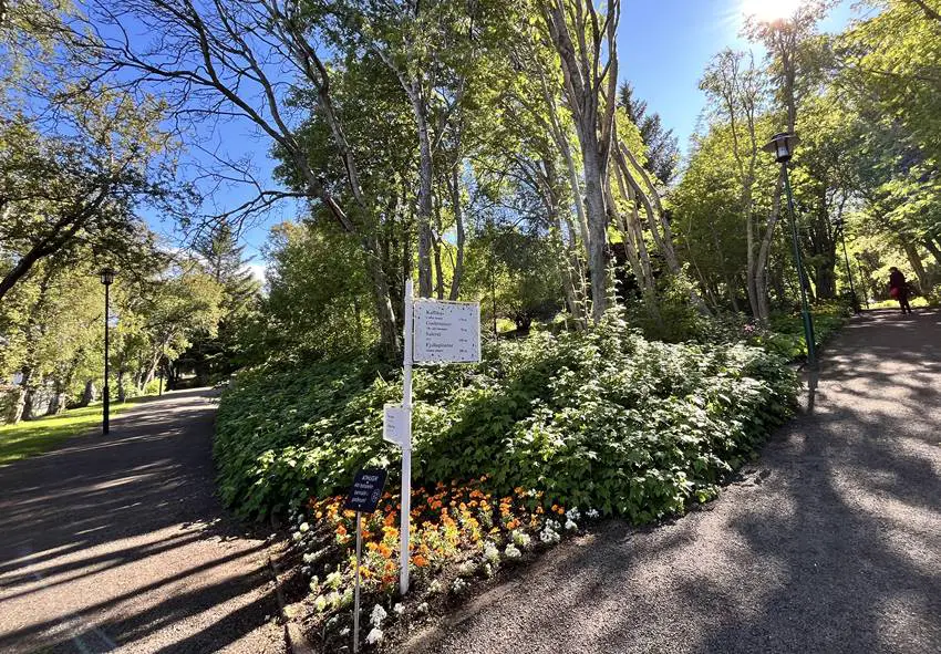 Akureyri Botanical Garden