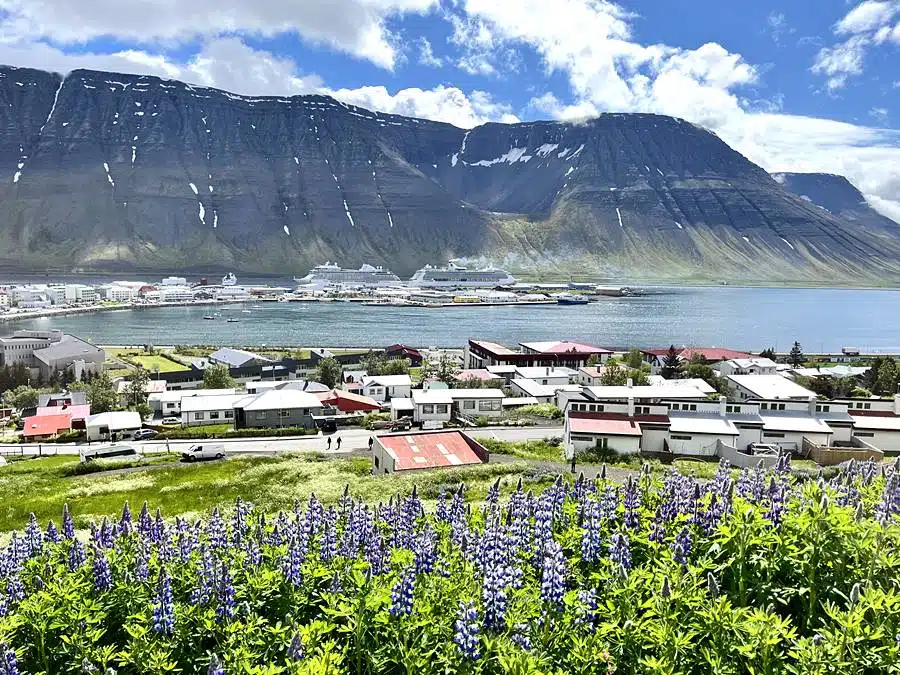 Isafjordur cruise port Iceland