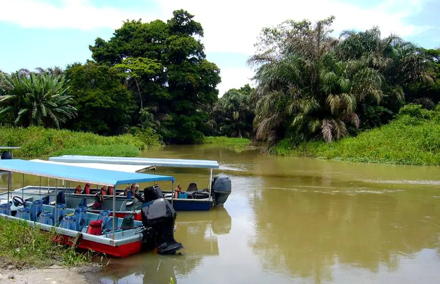 Tortuguero National Park is one of the popular excursions from Puerto Limon cruise port.