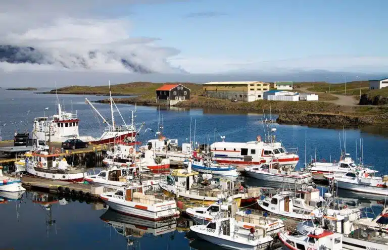 Djupivogur Iceland cruise port