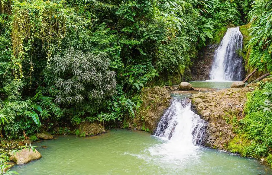 Grenada - Concord Falls