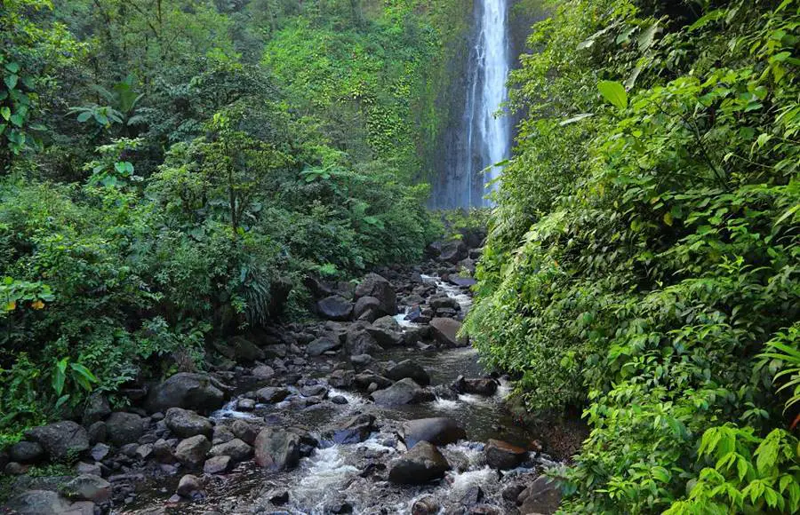 Guadeloupe National Park waterfall