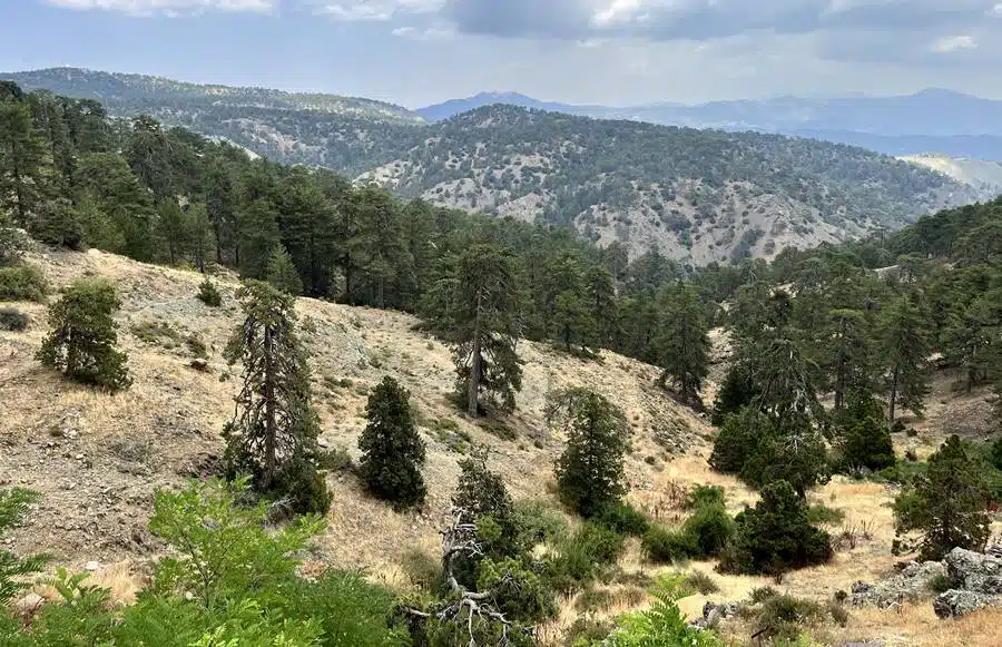 Troodos Mountains Cyprus