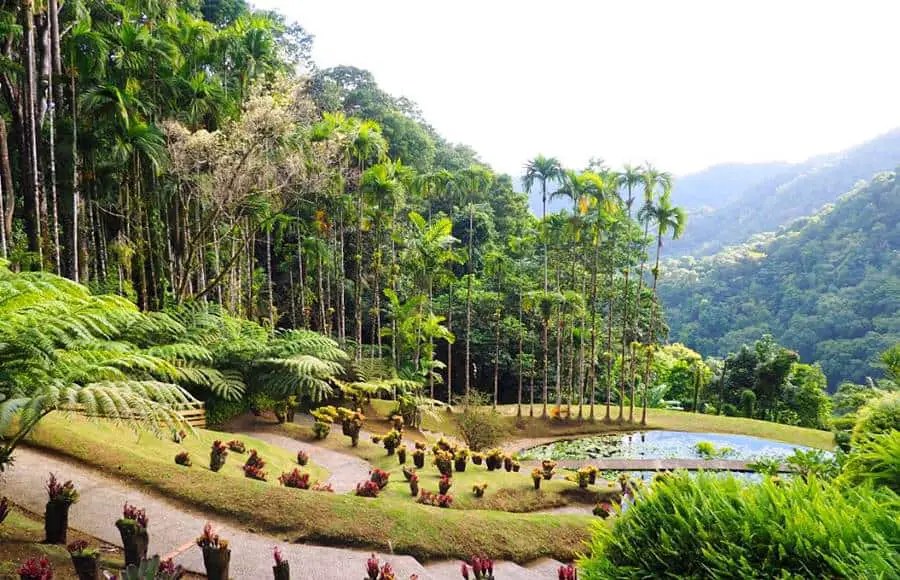 Martinique -Balata Garden