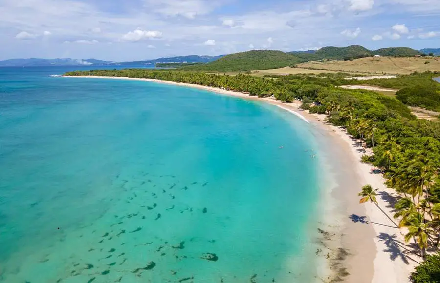 Martinique - Plage des Salines