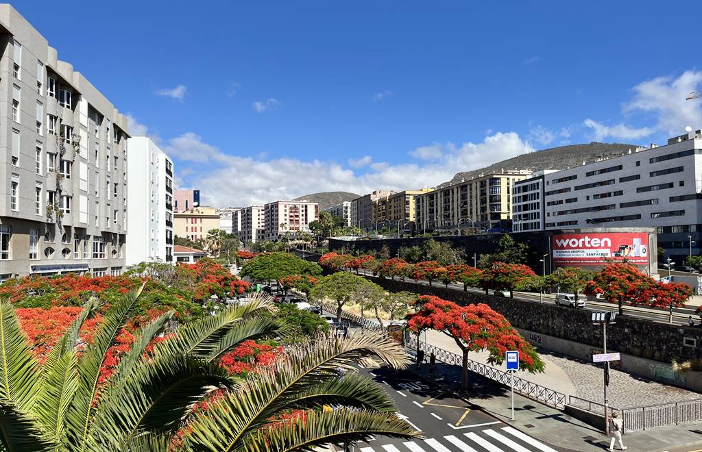 Santa Cruz de Tenerife